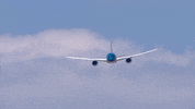 Airplane Aircraft GIF by Safran