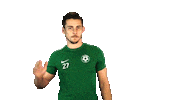 football Sticker by 1. fotbalová liga