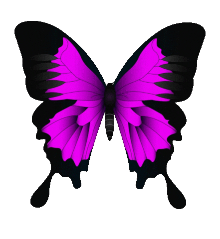 Fly Butterfly Sticker