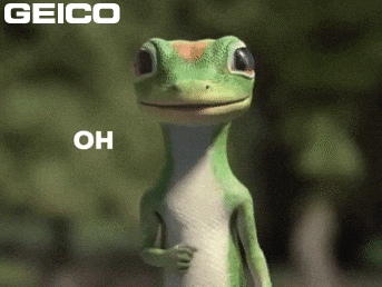 Oh My Omg GIF by GEICO