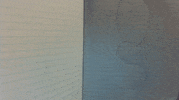 balloon GIF