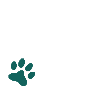 Paws Sticker by KUNKAY