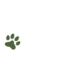 Paws Supergreen Sticker by KUNKAY