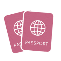 Travel Ally Sticker by TheAllyCo