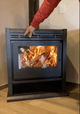 GIF animado