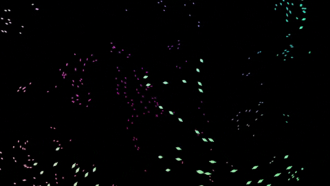 chansocphentra giphyupload GIF