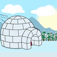 Good Day GIF by Pudgy Penguins