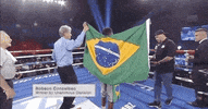 toprank fight sports sport boxing GIF