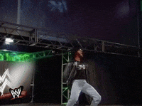 d-generation x wrestling GIF by WWE