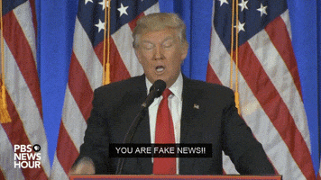 Political gif. Donald Trump stands at a podium and points out at the crowd in front of him, saying, “You are fake news!”