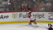 Excited Stanley Cup Playoffs GIF by NHL