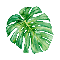 plantfetish monstera water colour plant fetish Sticker