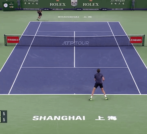 Daniil Medvedev Octopus Defense