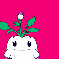 Vibes Flirting GIF by Magic Eden