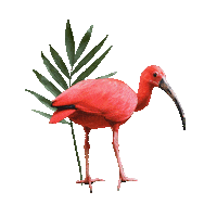 Palm Tree Summer Sticker by Chantal Caduff