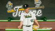 College Baseball Kyle GIF by GreenWave