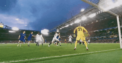 marcodottavi giphyupload GIF