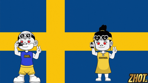 Sweden Flag Snow GIF by Zhotcita