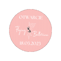 flyingballerina poledance poledancing poledancestudio flyingballerina Sticker
