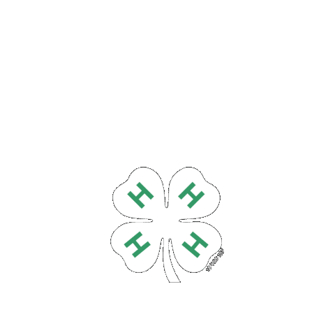 Beyond Ready Sticker by 4-H