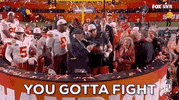 National Football League Fight GIF by NFL