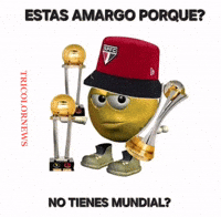 Santos Corinthians GIF