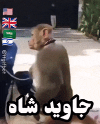 Israel Iran GIF