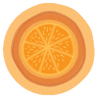 Orange Slice Sticker by thenousbeauty