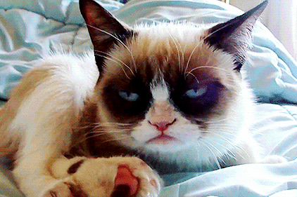 seor curtains darn wants GIF