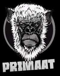 primaat monkey primaat primaatband coloredmonkeys GIF