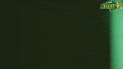 North Dakota State Bat GIF by NDSU Athletics
