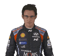 Thierry Neuville Hyundai Sticker by FIA World Rally Championship