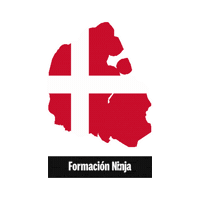 Denmark Flag Sticker by Formación Ninja