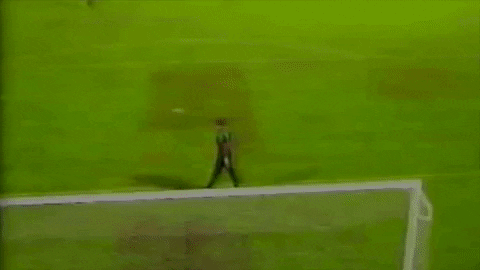 denisromantsov giphyupload marchegiani GIF