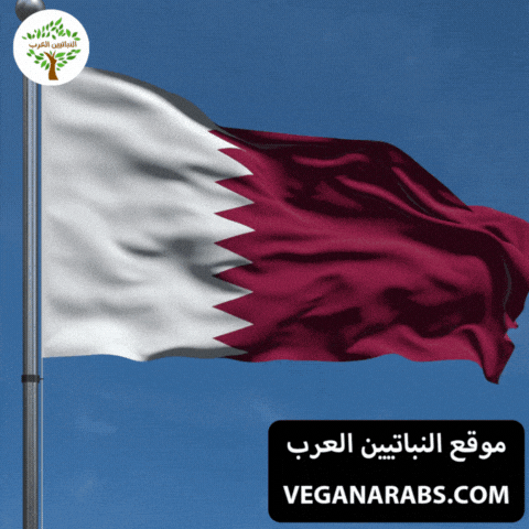 Qatar Flag GIF by VeganArabs