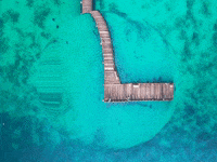 You Can Wow GIF by FranchiseONE.de