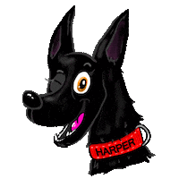 Dog Wink Sticker