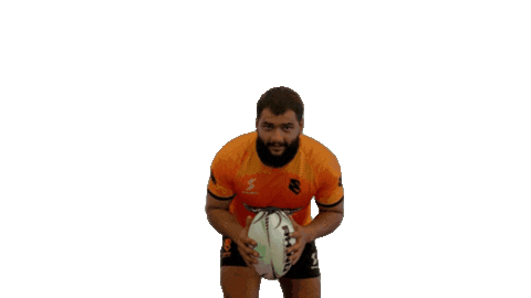 Cobras Sticker by Brasil Rugby