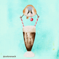 Bird Dessert GIF by Color Snack Creative Studio