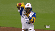 Regular Season Sport GIF by MLB