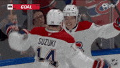 Happy Montreal Canadiens GIF by NHL
