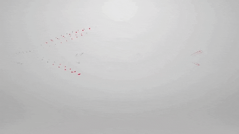 ichibanauto giphygifmaker auto drift ichiban GIF