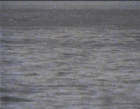 loop vintage GIF by rotomangler
