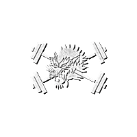 Tst Sticker by teamsoul