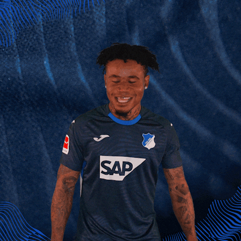 Sport Bundesliga GIF by TSG Hoffenheim