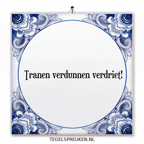 Nl Wijsheid GIF by Tegelspreuken.nl