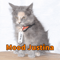 GIF by Garras y Patas