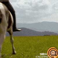 View Pony GIF by SWR Kindernetz