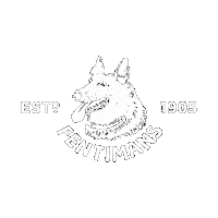 FentimansBotanicallyBrewed fearless botanical ginger beer soft drinks Sticker