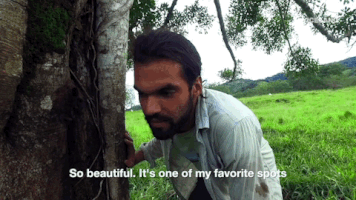 viceland GIF by JUNGLETOWN